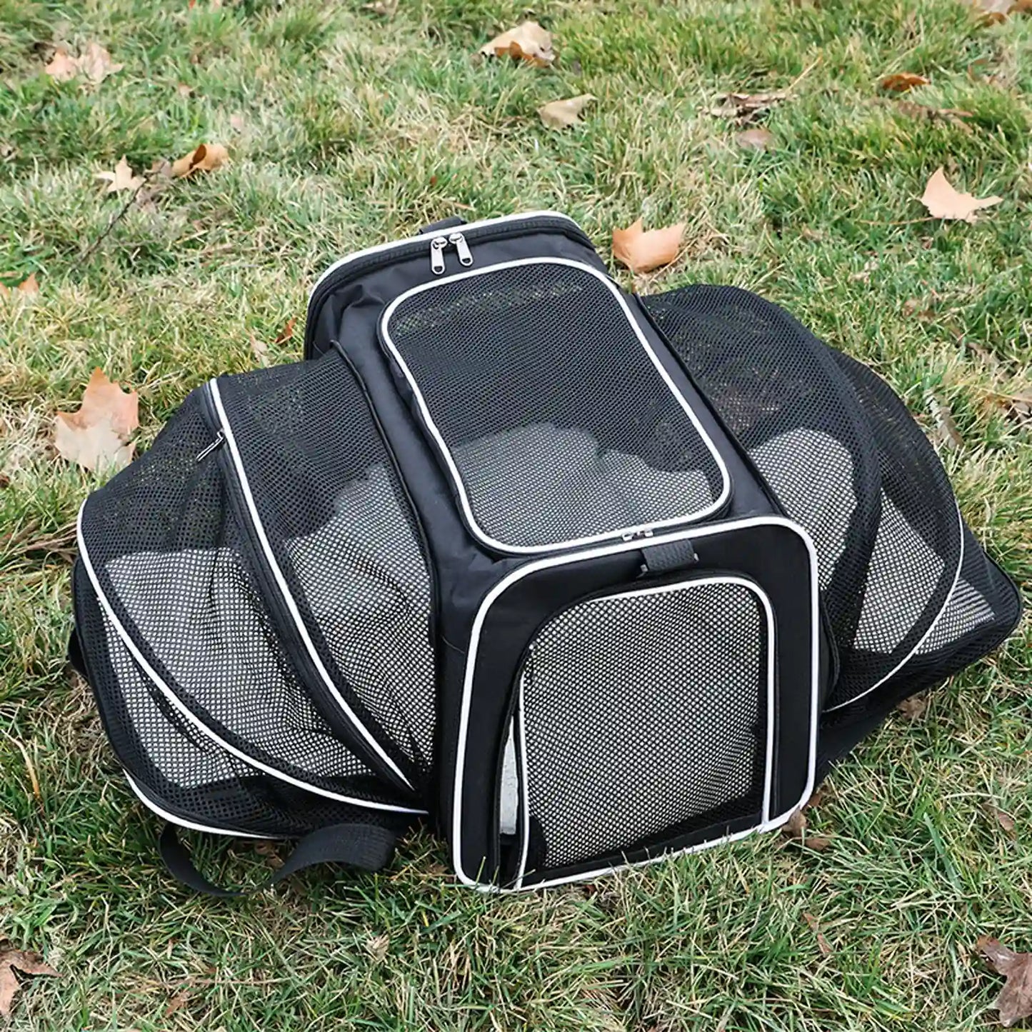 Black expandable pet carrier with white trim, fully expanded on grass