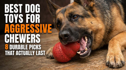 Best Dog Toys for Aggressive Chewers: 8 Durable Picks That Actually Last