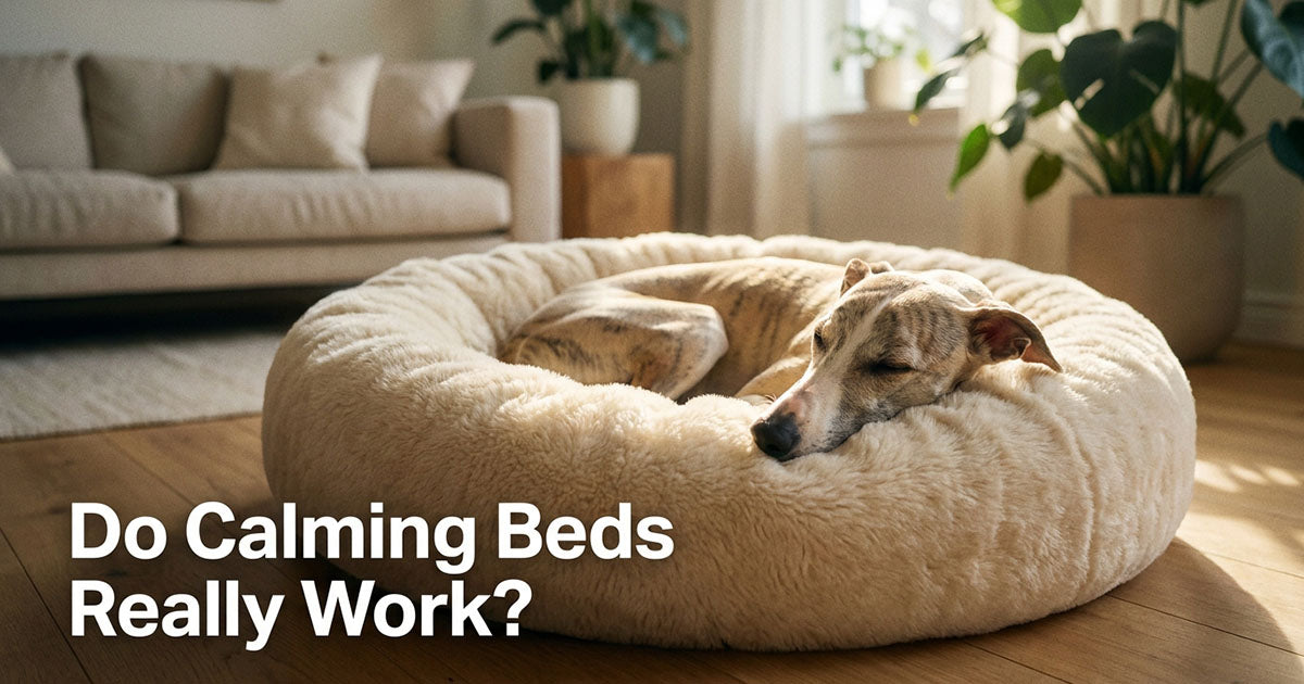 Do Calming Dog Beds Really Work? An Honest Look (2026 Guide)