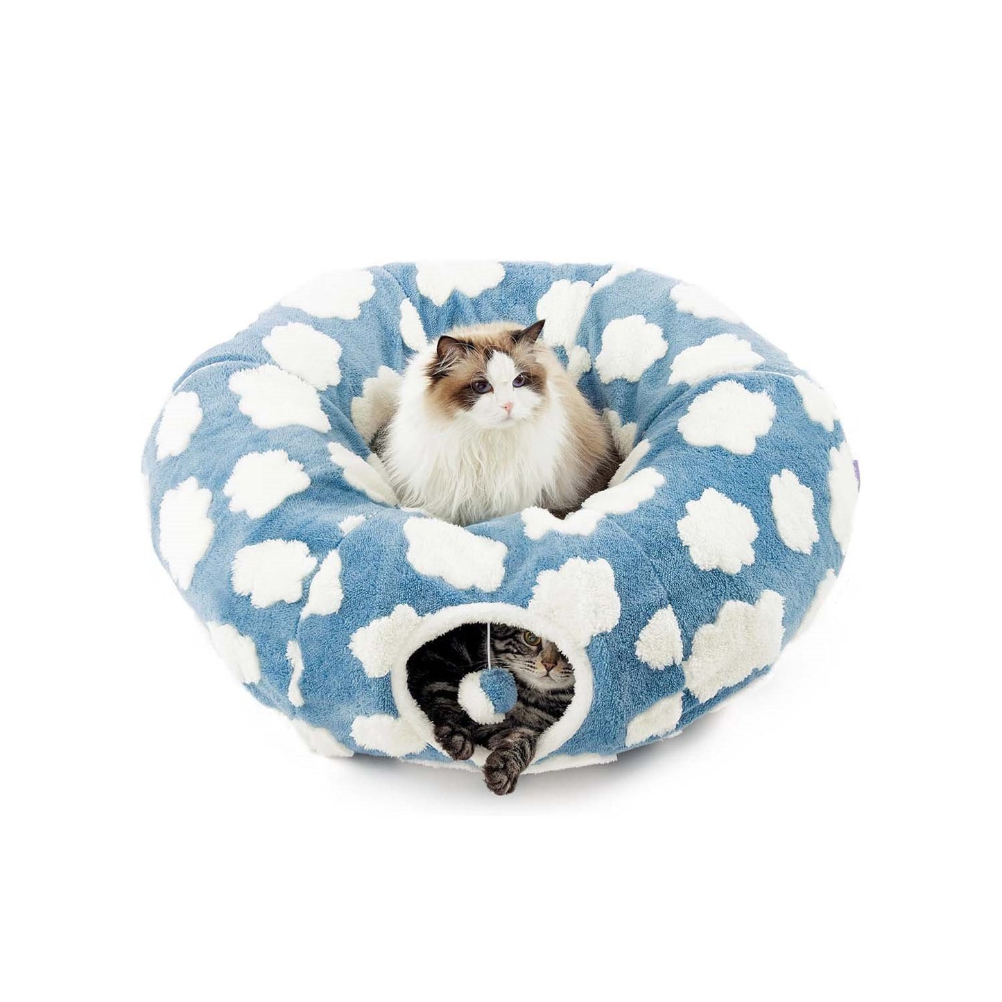 Blue Cloud variant — two cats inside the donut tunnel bed on a white studio background.