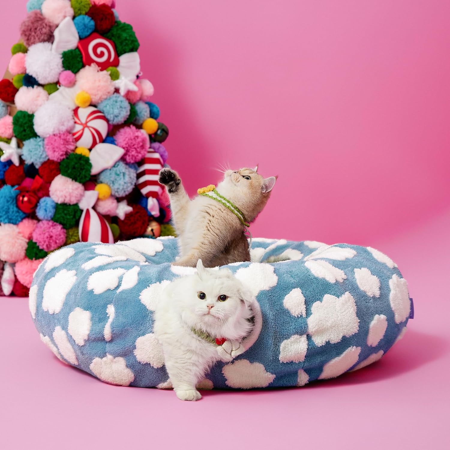Blue Cloud variant — two cats on the donut cat tunnel bed in a pink studio set with a pom-pom tree backdrop.