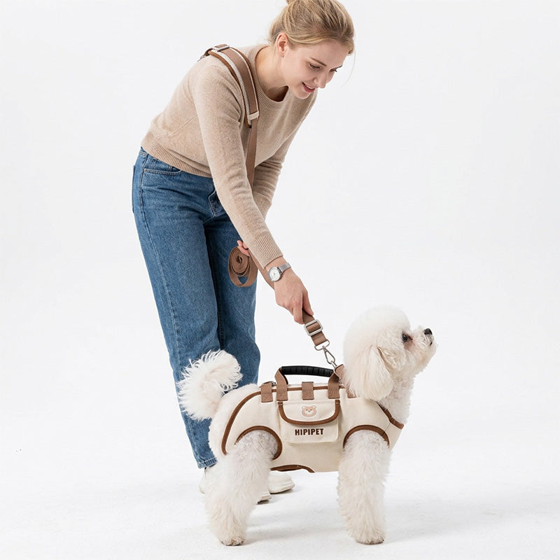 Small white dog walking in a khaki carrier harness with leash attached near the top handle.