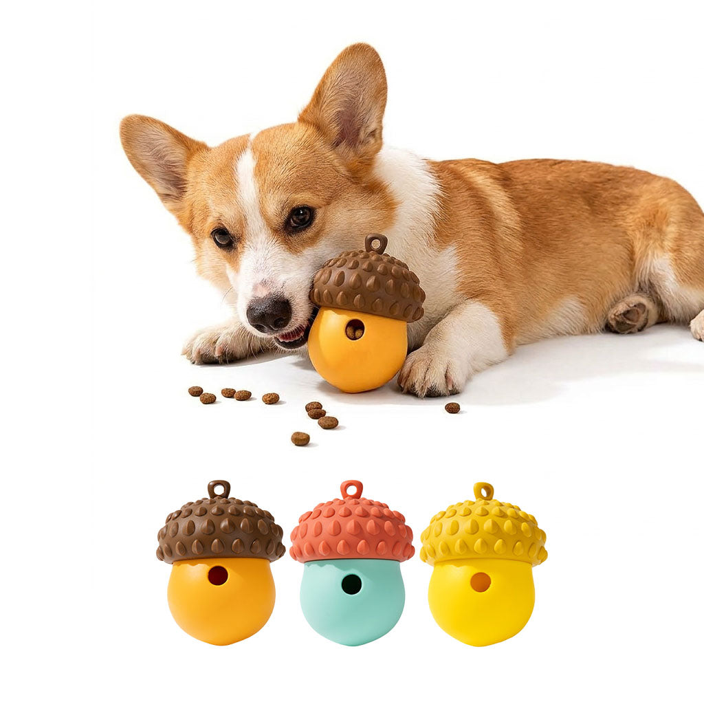Studio shot on white background of a Corgi chewing an Acorn dog treat dispenser toy, with three color variants below.
