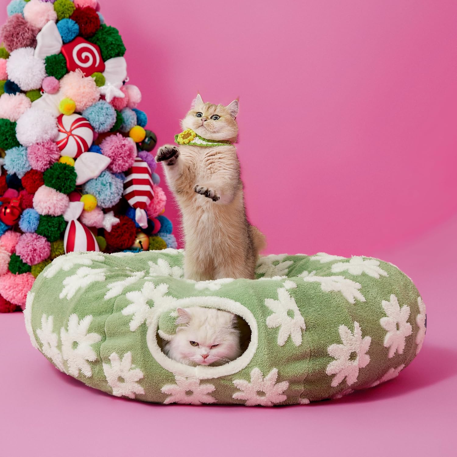 Two cats inside the sage-green floral donut cat tunnel bed: one curled in the center, one emerging from the tunnel entrance.