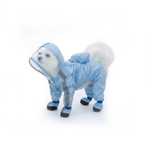 Small white dog wearing a sky blue full-body dog raincoat with clear hood, reflective strips, and attached boots.
