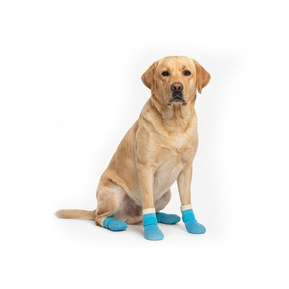 Yellow Labrador wearing blue waterproof anti-slip dog socks with Velcro straps on a white background.