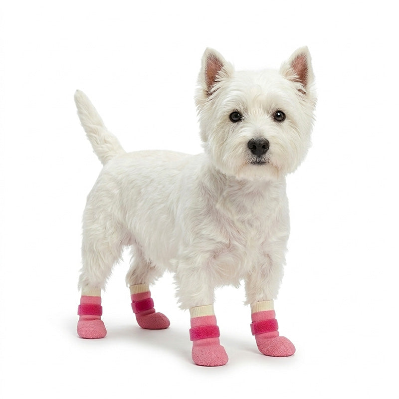 White terrier on a white background wearing pink waterproof anti-slip dog socks with Velcro straps.
