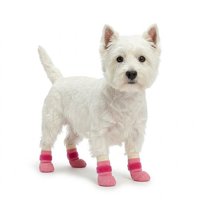 White terrier on a white background wearing pink waterproof anti-slip dog socks with Velcro straps.