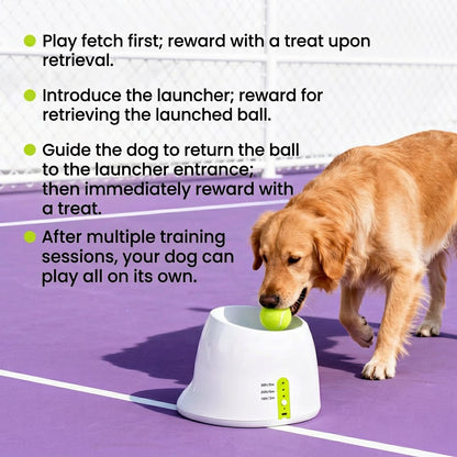 Golden retriever on a purple court drops a tennis ball into a white automatic dog ball launcher.