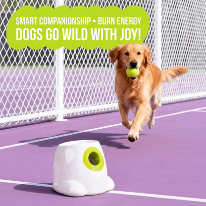 A happy Golden Retriever excitedly chasing a green mini tennis ball launched from a white automatic dog ball launcher on an outdoor court.