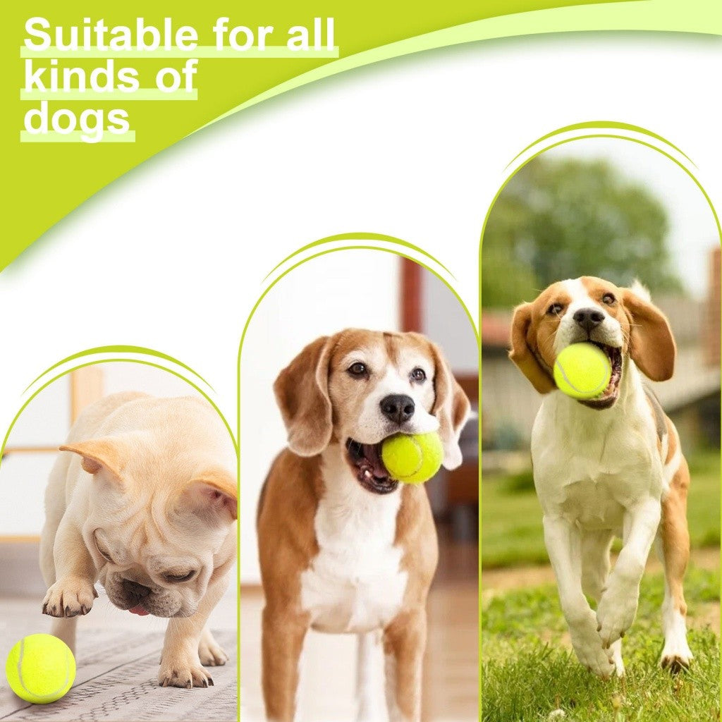 Split-panel promo shows small and medium dogs playing with bright yellow tennis balls indoors and outdoors.