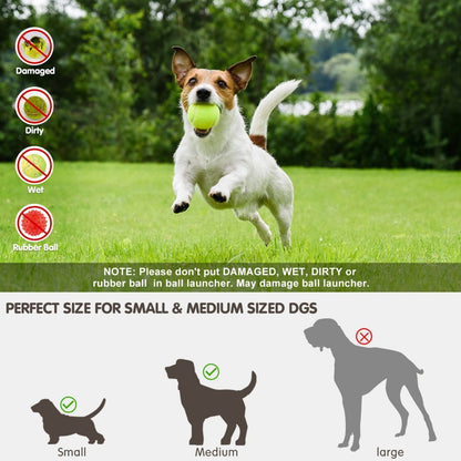 Jack Russell catches a tennis ball on grass beside an automatic dog ball launcher size guide for small and medium dogs.