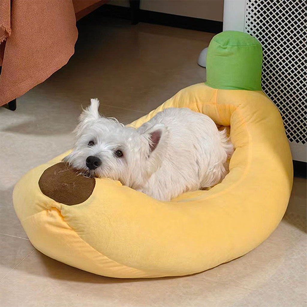 Cute Westie dog resting its chin comfortably on the sturdy anti-collapse rim of a plush banana pet bed.