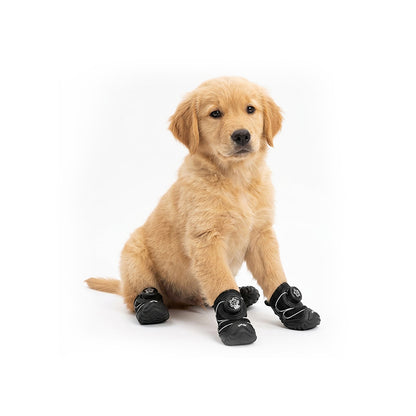 Golden retriever puppy wearing midnight black mesh dog shoes with quick-dial fasteners.