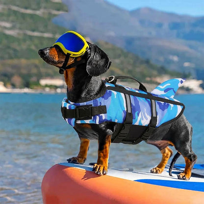 Dachshund on a paddleboard wears a blue camo shark fin dog life jacket swim vest and goggles by a calm lake.