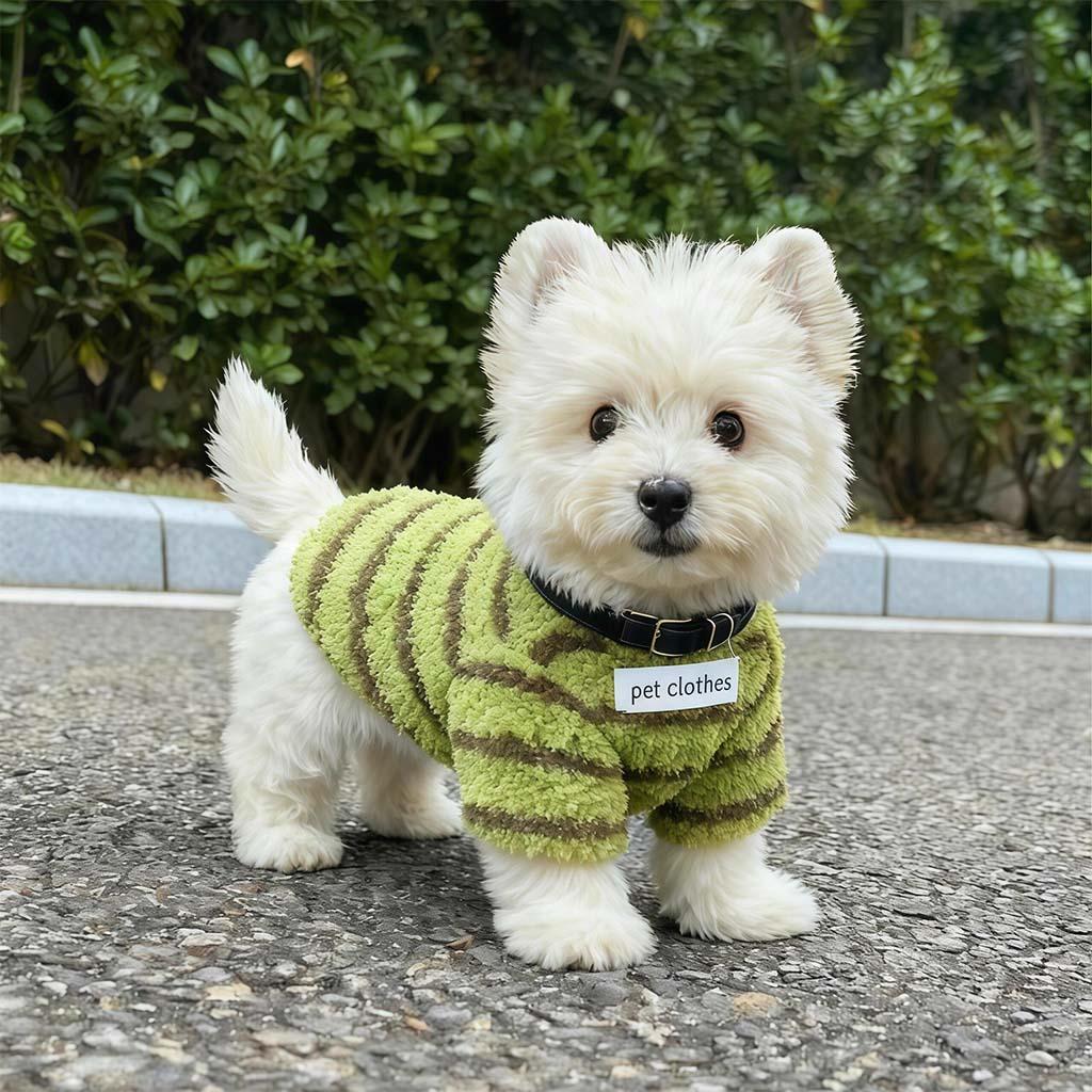 White Westie outdoors wearing the matcha green striped fleece dog sweater with black collar.