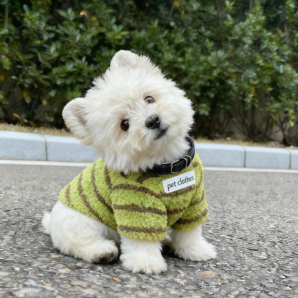 White Westie sitting outdoors in the matcha green striped fleece dog sweater with Pet Clothes label.