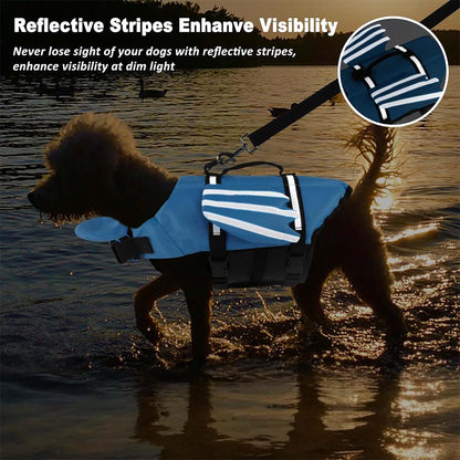 Dog in a blue angel wing dog life jacket with reflective stripes stands in shallow sunset water, leash attached.