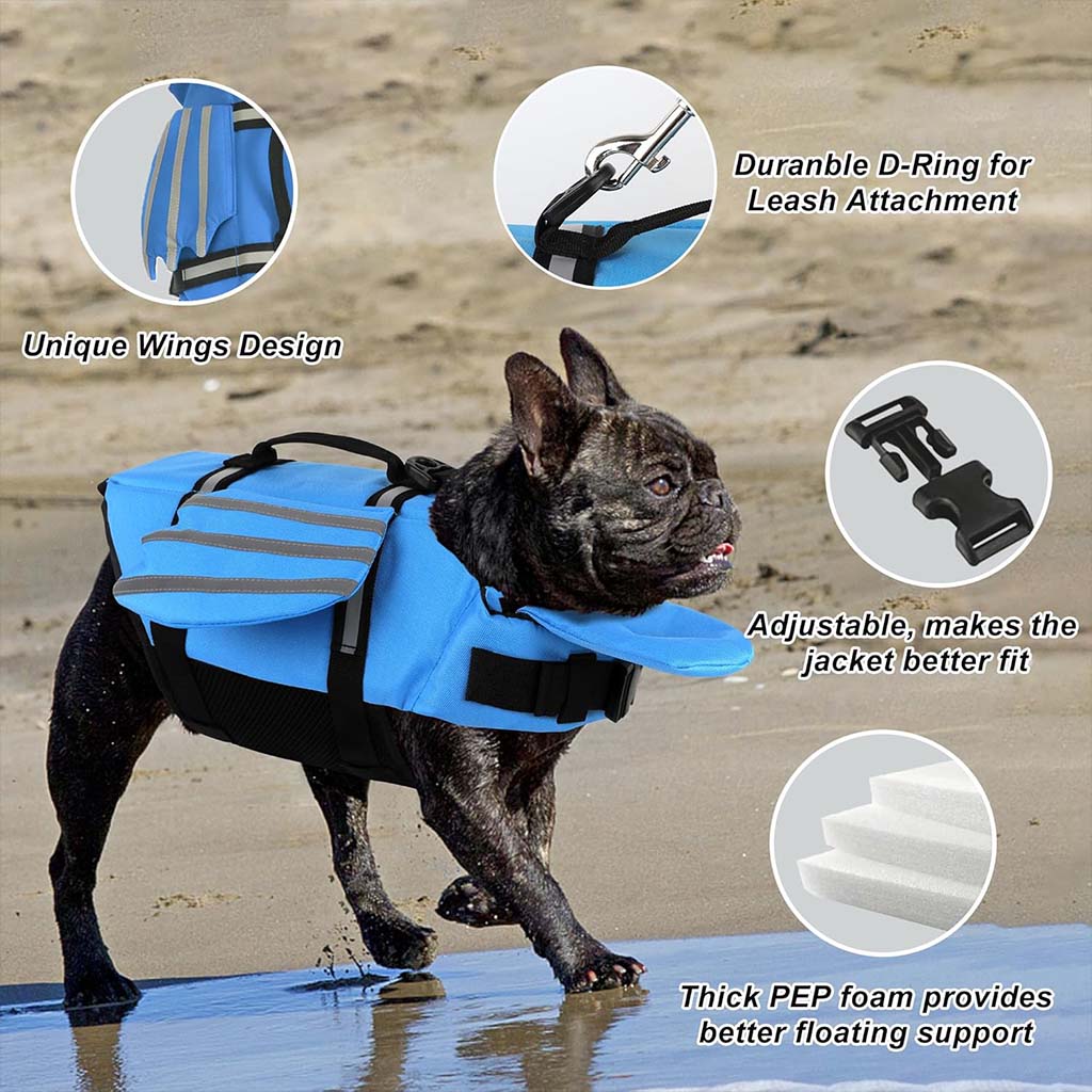 A happy French Bulldog standing on the beach wearing a cute blue angel wing dog life jacket featuring a top rescue handle and leash D-ring.