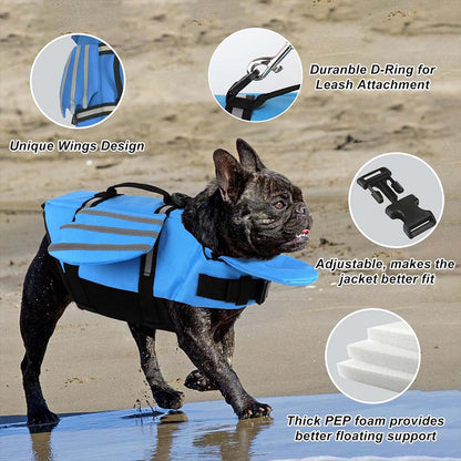 A happy French Bulldog standing on the beach wearing a cute blue angel wing dog life jacket featuring a top rescue handle and leash D-ring.