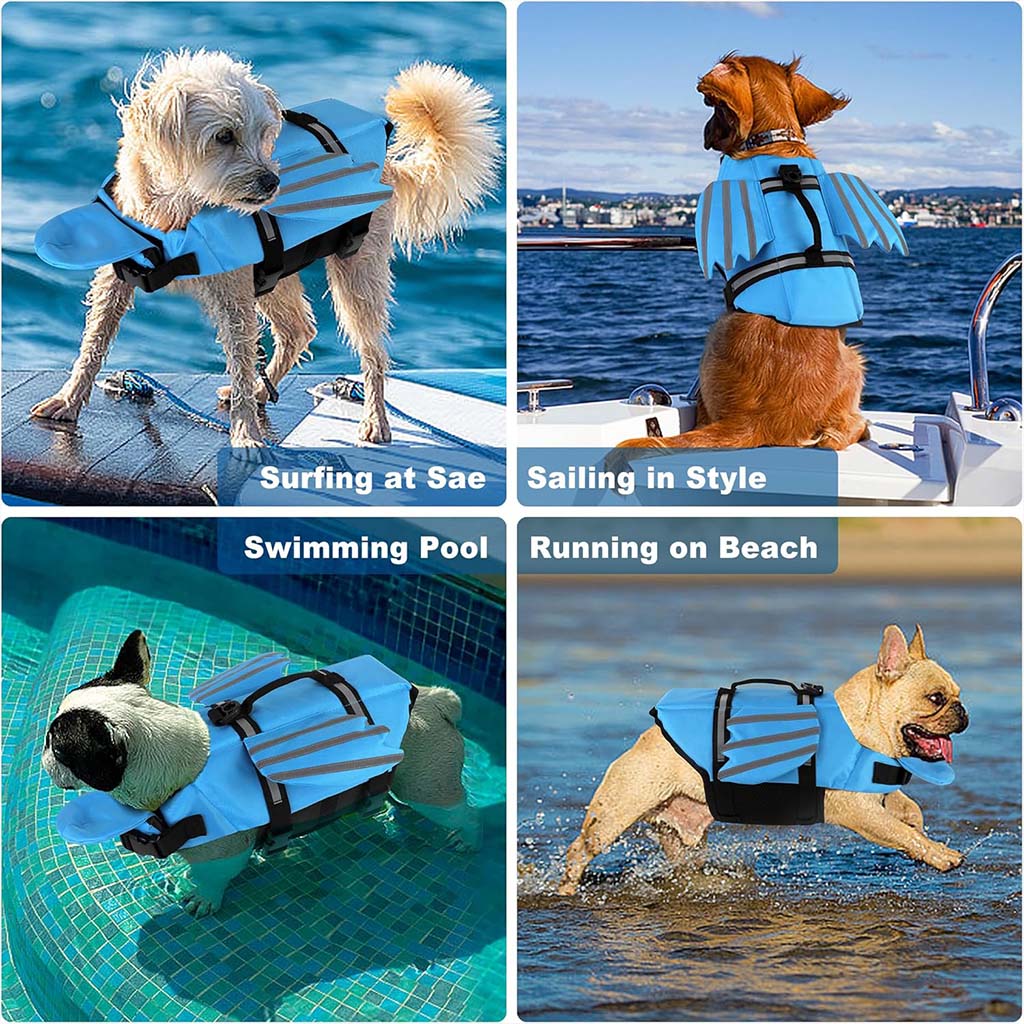 Four dogs in blue angel wing dog life jackets on a boat, in a pool, and running on a beach.