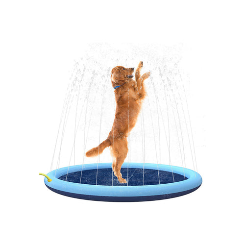 Golden retriever stands in a blue dog splash pad sprinkler pool with arcing water jets on a white background.