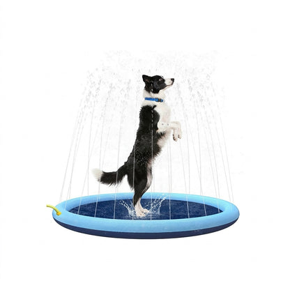 Black-and-white Border Collie stands on a blue dog splash pad sprinkler pool with water jets, on a white background.