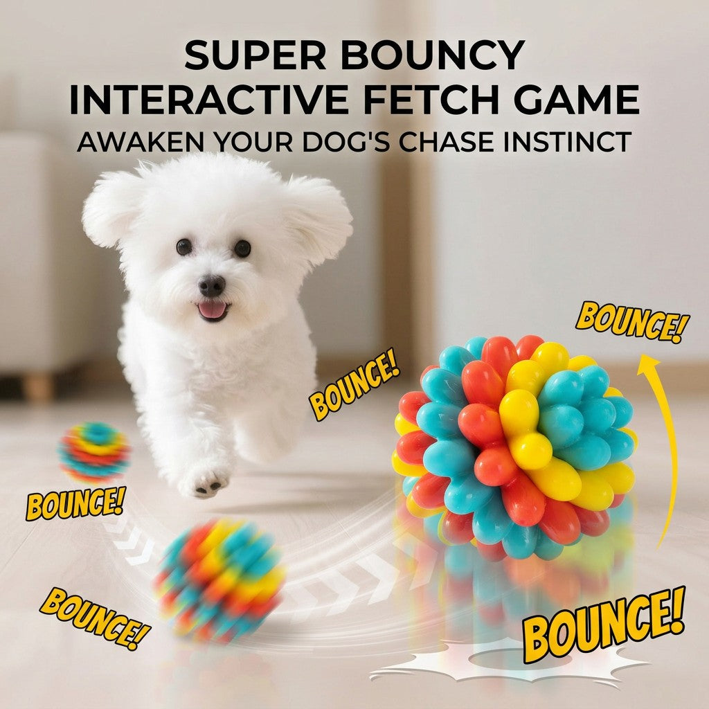 Small white fluffy dog in a bright indoor room chases a colorful TPR rubber dog ball with bounce graphics.
