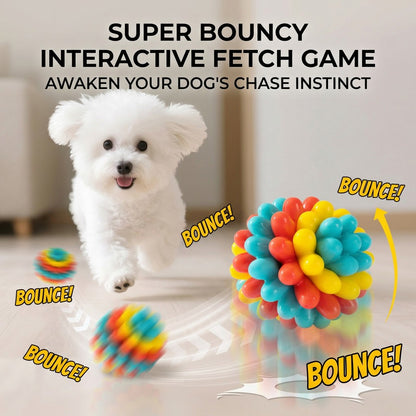 Small white fluffy dog in a bright indoor room chases a colorful TPR rubber dog ball with bounce graphics.
