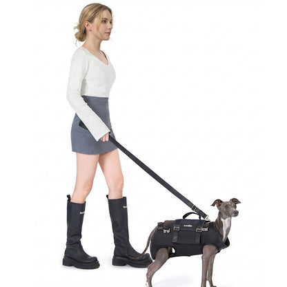 Woman walking a small grey dog wearing the black horizontal carrier backpack as a harness with leash attached.