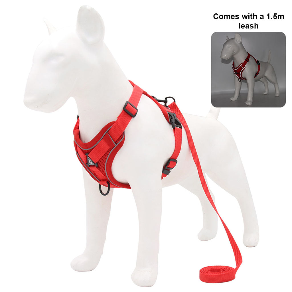 White studio shot of a dog mannequin wearing a red escape-proof harness and leash set, with a 1.5m leash inset.