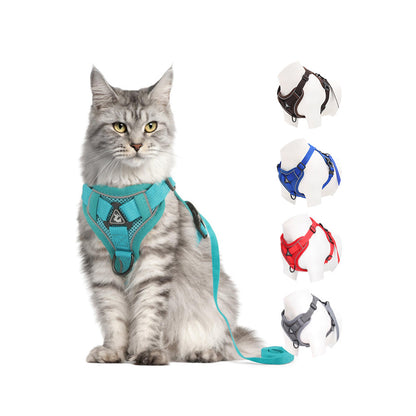 A fluffy grey cat wearing a Lake Blue breathable mesh cat harness with matching leash. Features safe, escape-proof design for outdoor cat walking.