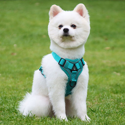 Small white Pomeranian wearing a teal escape-proof harness sitting on green grass outdoors.