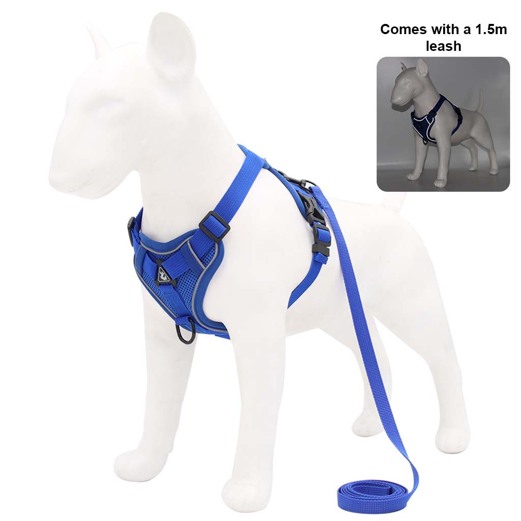 Blue escape-proof dog harness and leash set on a white dog mannequin, shown in a studio shot with white background.