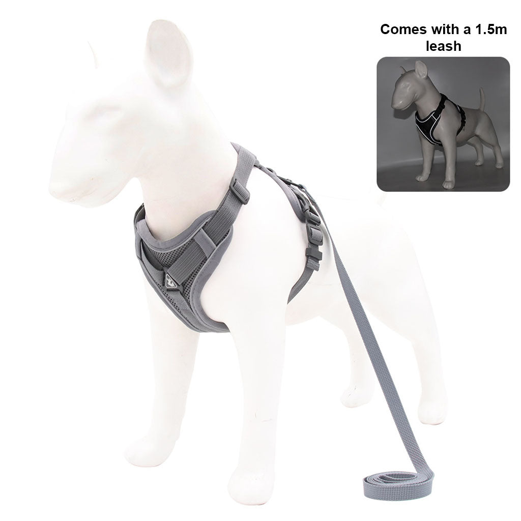 Studio shot on white background of a gray escape-proof harness and 1.5m leash on a white dog mannequin.