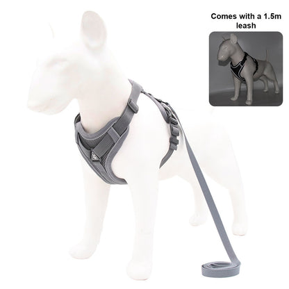 Studio shot on white background of a gray escape-proof harness and 1.5m leash on a white dog mannequin.
