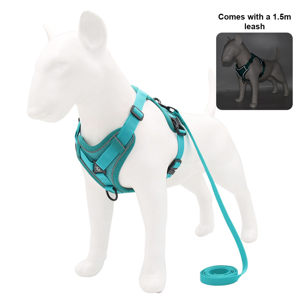 White studio shot of a turquoise escape-proof harness and leash set on a white dog mannequin, with a small inset view.