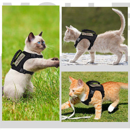 Three photos of active adventure cats (a Siamese and two orange tabbies) safely exploring the outdoors while wearing the PawsMore tactical harnesses in black and tan.