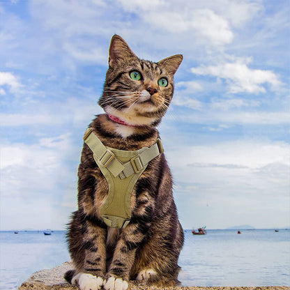 A majestic tabby cat wearing the desert tan PawsMore tactical walking harness, sitting calmly on a rock with a beautiful blue ocean and sky in the background.