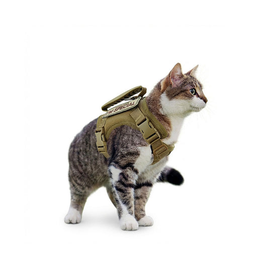 A cute tabby cat wearing the PawsMore desert tan escape-proof tactical harness, featuring a heavy-duty top control handle and a "MAMA SAYS I'M SPECIAL" velcro patch.