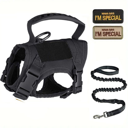 The PawsMore tactical harness for cats and small dogs in black, displayed alongside its matching shock-absorbing bungee leash and two included velcro morale patches.