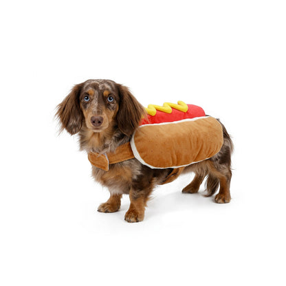 Dapple dachshund wearing a plush hot dog pet costume with bun sides and mustard detail.