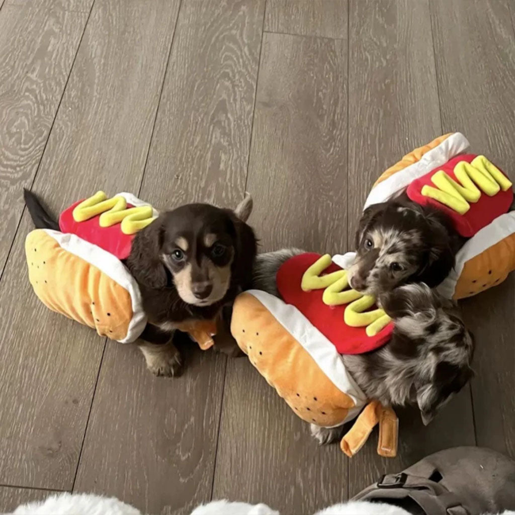 Small puppies sitting in matching hot dog costumes on a living room floor.
