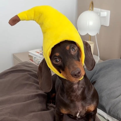 Small dog on a bed wearing a yellow banana plush costume hat with open face.