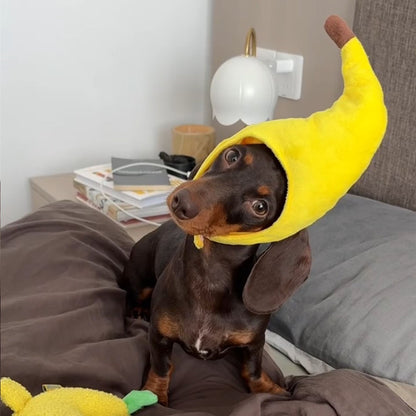 Dachshund tilting its head in an adjustable banana pet costume hat indoors.