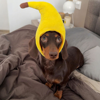 Small dachshund on a gray bed wearing a banana plush hat with brown tip.