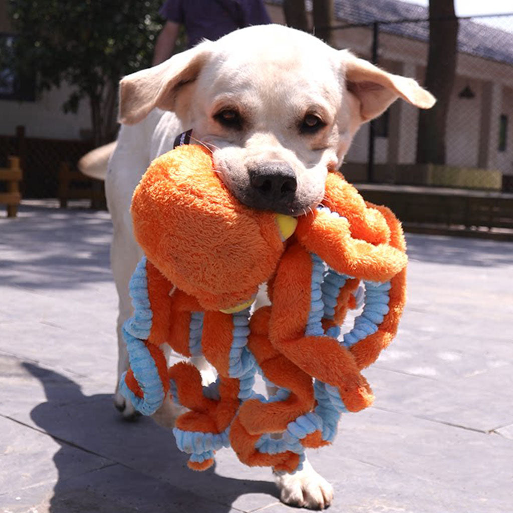 A happy yellow Labrador Retriever proudly carrying an oversized orange giant octopus plush dog toy in its mouth outdoors on a sunny day.