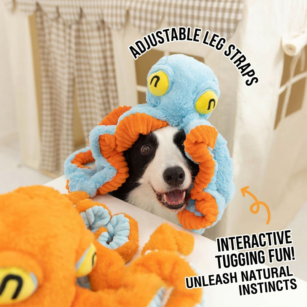 A smiling Border Collie playing hide-and-seek with a blue and orange squeaky octopus dog toy draped over its head, demonstrating interactive tugging fun.