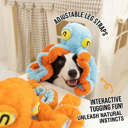 A smiling Border Collie playing hide-and-seek with a blue and orange squeaky octopus dog toy draped over its head, demonstrating interactive tugging fun.
