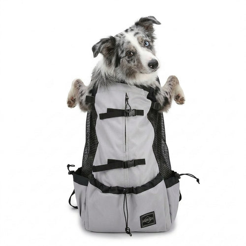 Merle dog sitting upright in the Urban Grey head-out dog carrier backpack on white background.